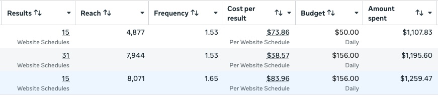 Meta Ads Manager results: 15, 31 and 15 Website Schedules across three campaigns.
